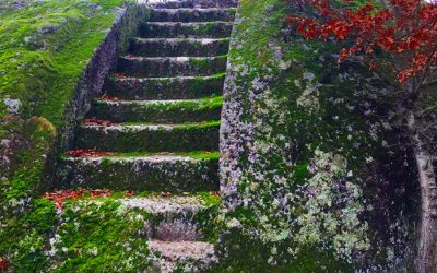 Monte Casoli: Il Bosco del Serraglio e l’Abitato Rupestre