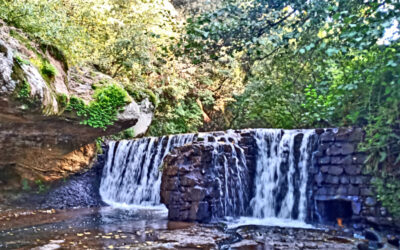 In Cammino con Pasolini tra la “Piramide Etrusca” e le Cascate di Chia